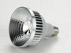Retail LED Lamp